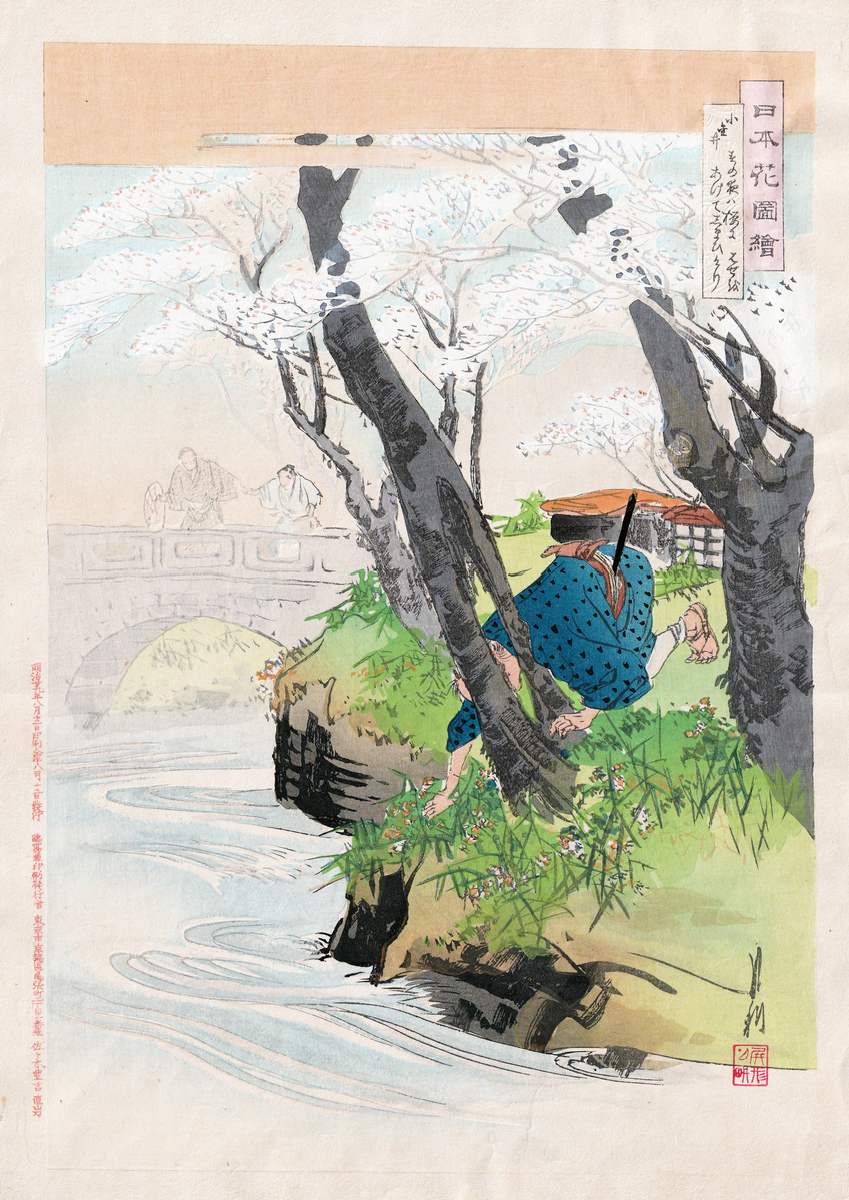 小金井 春の夜は桜にあけてしまひけり はせを│日本花図絵 - 花紅柳緑