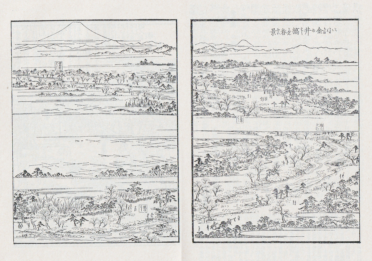 小金井春景　江戸名所図会