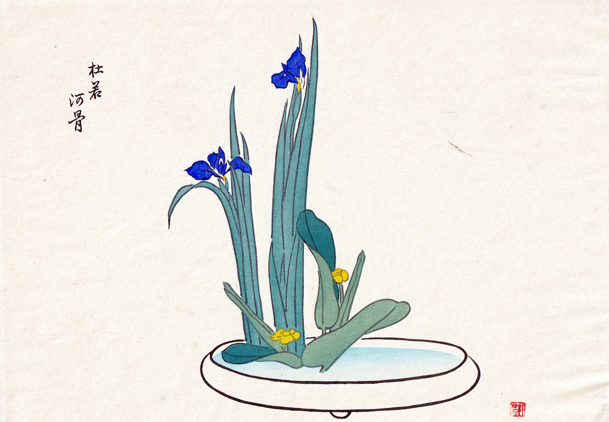 生け花　杜若と河骨