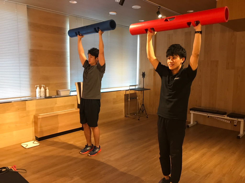 f:id:taninao:20181101165638p:plain