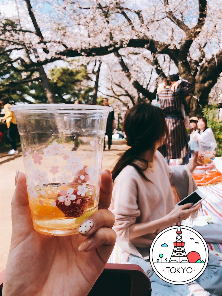 f:id:tanisanpo:20190402215442j:image f:id:tanisanpo:20190402215442j:image