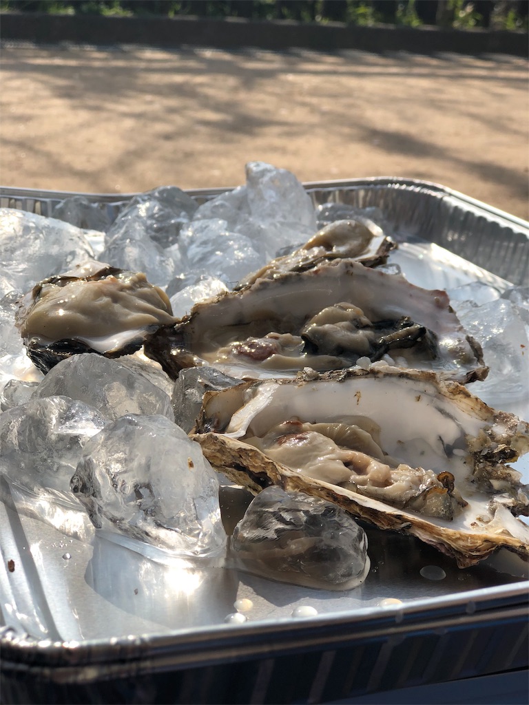 f:id:tanisanpo:20190408164546j:image f:id:tanisanpo:20190408164546j:image