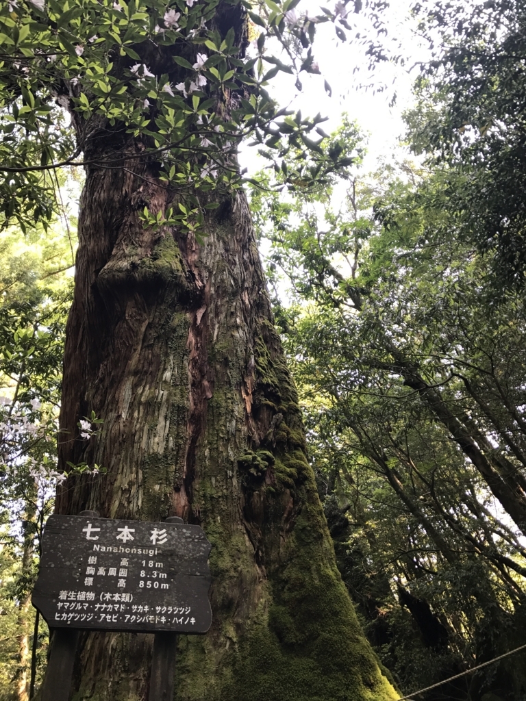 f:id:tanishimo:20180612000458j:plain f:id:tanishimo:20180612000458j:plain