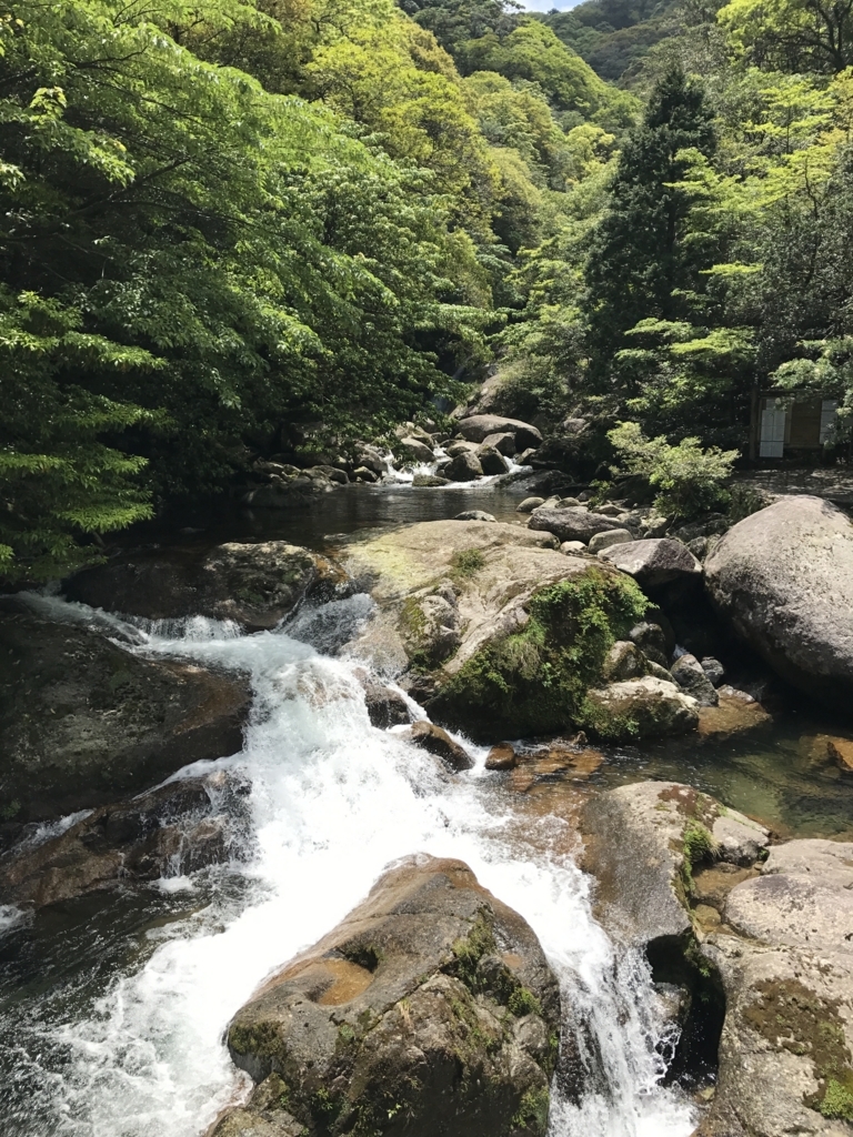 f:id:tanishimo:20180612000857j:plain f:id:tanishimo:20180612000857j:plain