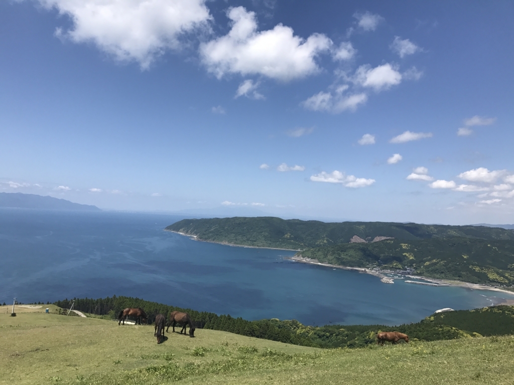 f:id:tanishimo:20180612002130j:plain f:id:tanishimo:20180612002130j:plain