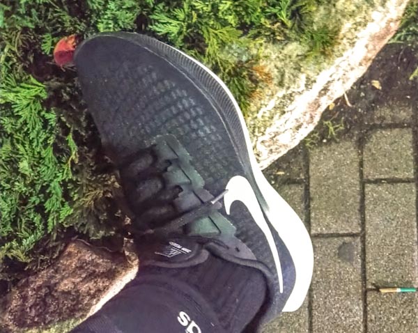 11 4 通勤帰宅ラン 寒くてカラダが動かない 目立ちたがり屋め 事務員さんのランニングブログ