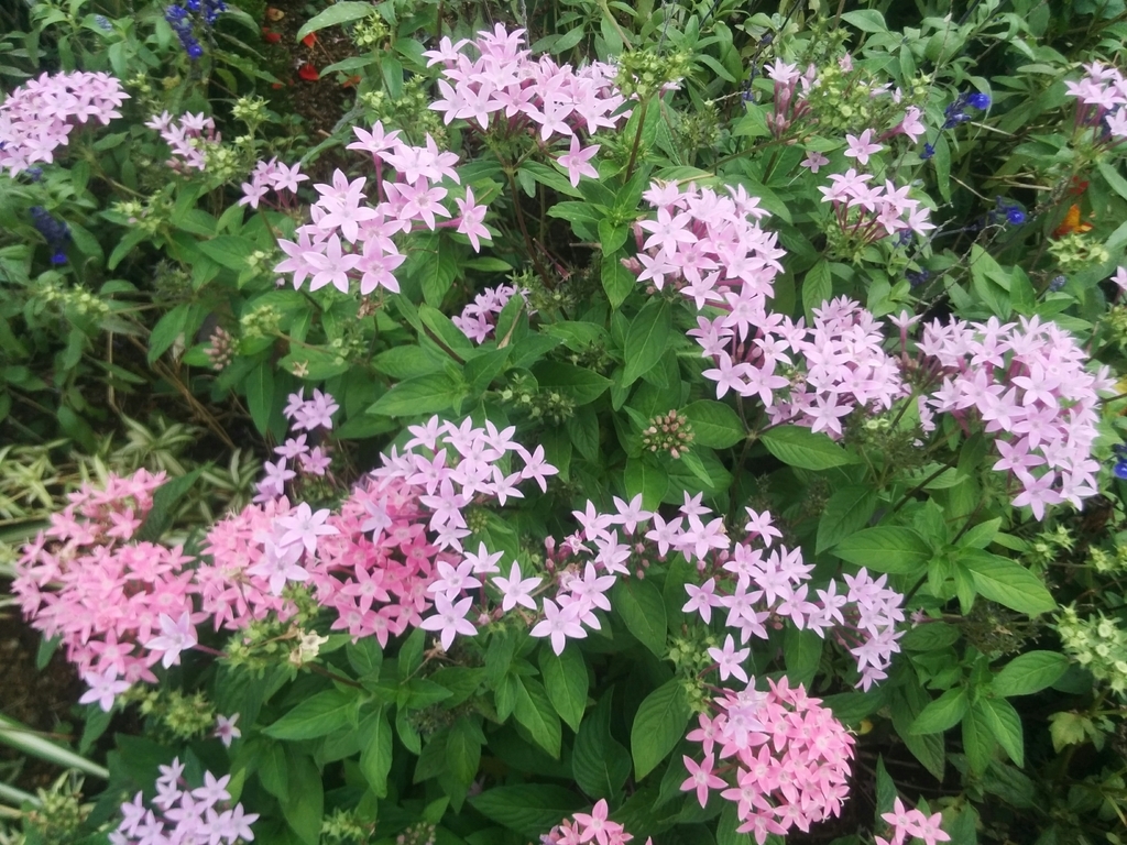 f:id:tanisuke1234:20181017210139j:plain f:id:tanisuke1234:20181017210139j:plain