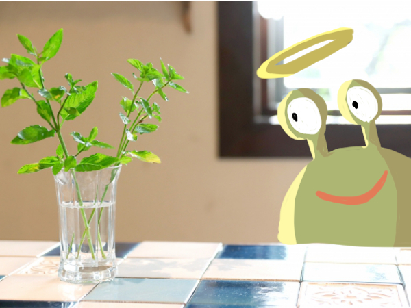 f:id:tanisuke1234:20181121055356j:plain f:id:tanisuke1234:20181121055356j:plain