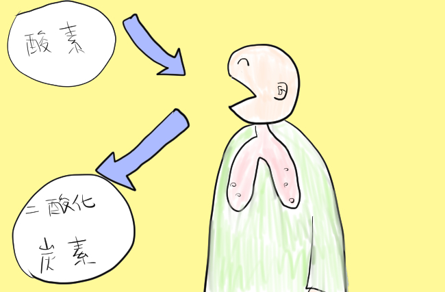 f:id:tanisuke1234:20190512071656j:plain