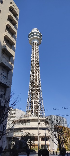 f:id:tanisuke1234:20240215105604j:image