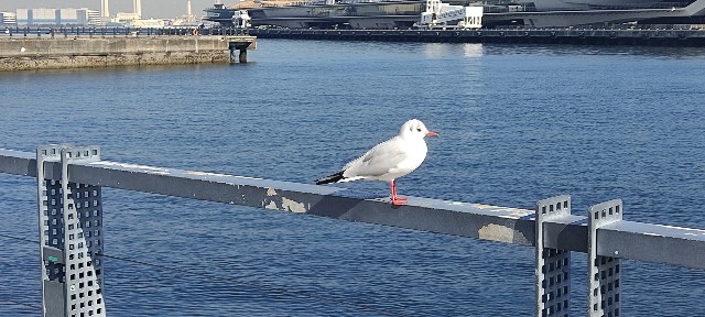 f:id:tanisuke1234:20240215105927j:image