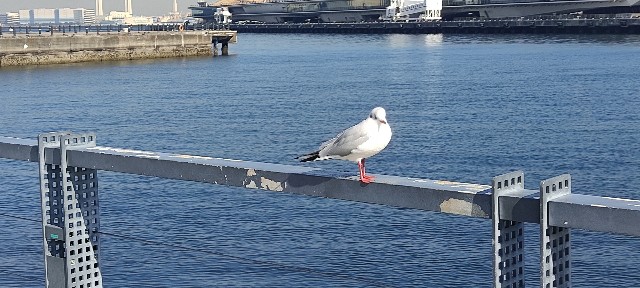 f:id:tanisuke1234:20240215105937j:image