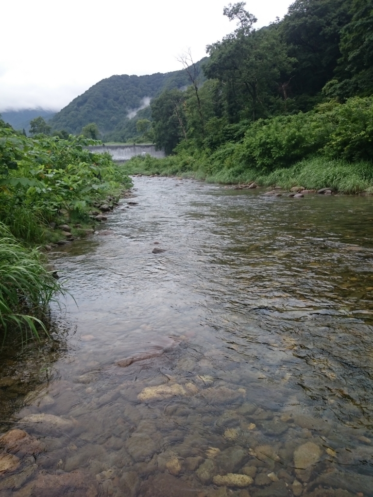 f:id:tanizarukantou:20180721180246j:plain f:id:tanizarukantou:20180721180246j:plain