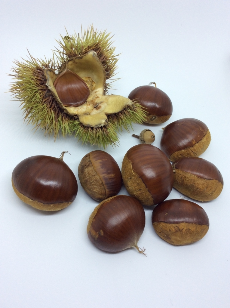 f:id:tankakanta:20171014155100j:plain f:id:tankakanta:20171014155100j:plain