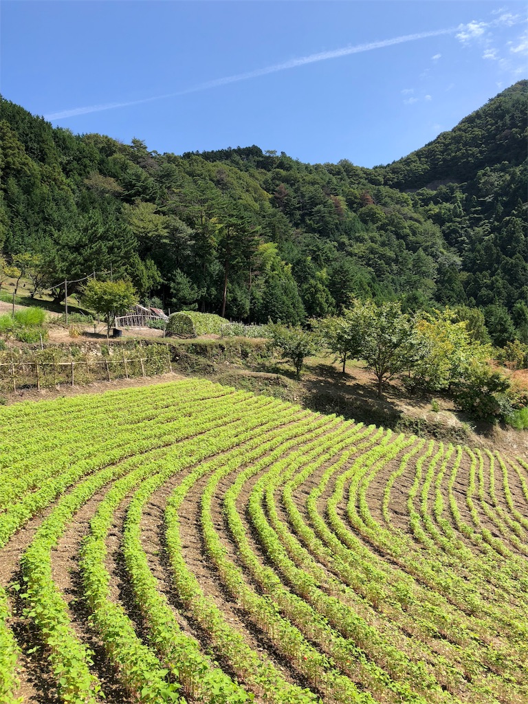 f:id:tankakanta:20180929124509j:image f:id:tankakanta:20180929124509j:image
