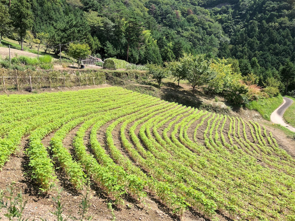 f:id:tankakanta:20180929124524j:image f:id:tankakanta:20180929124524j:image