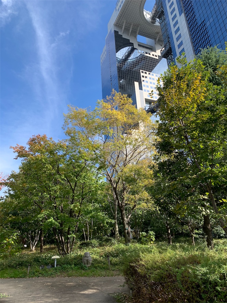 f:id:tankantonmo:20191111192855j:image f:id:tankantonmo:20191111192855j:image