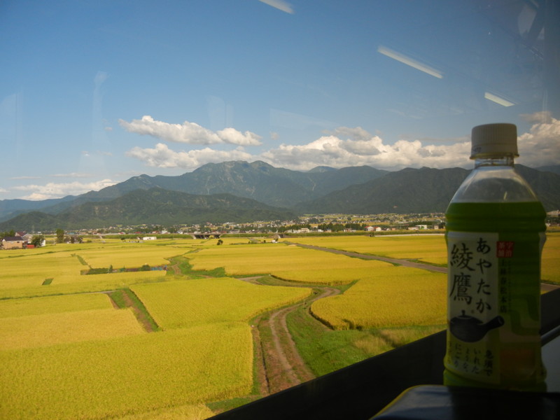 f:id:tanmeen:20120907152123j:image