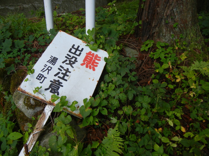 f:id:tanmeen:20120907165041j:image
