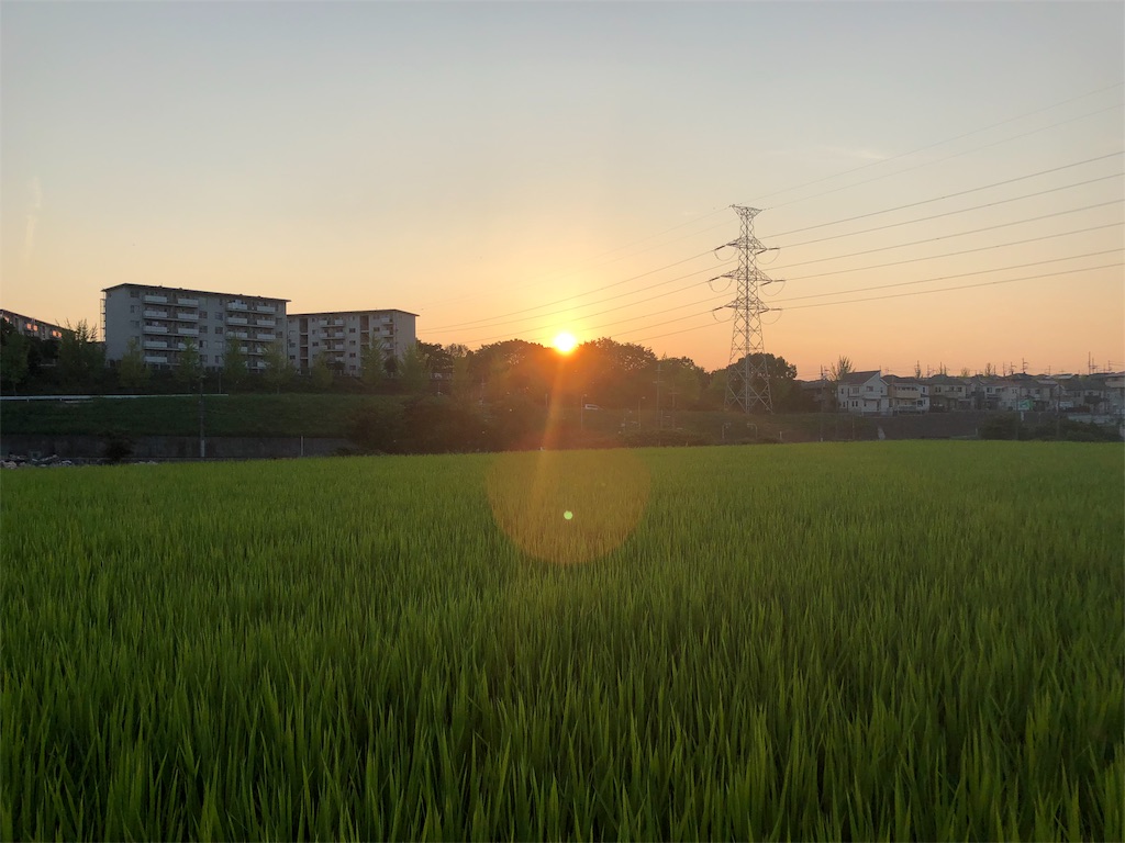 f:id:tanmm24:20180807082452j:image