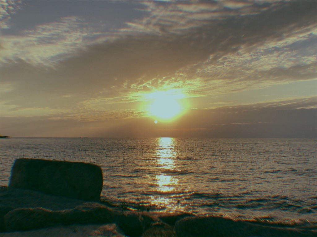 f:id:tanmm24:20190129000429j:image