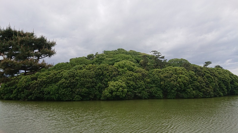 f:id:tano_oka2:20190519125652j:plain f:id:tano_oka2:20190519125652j:plain