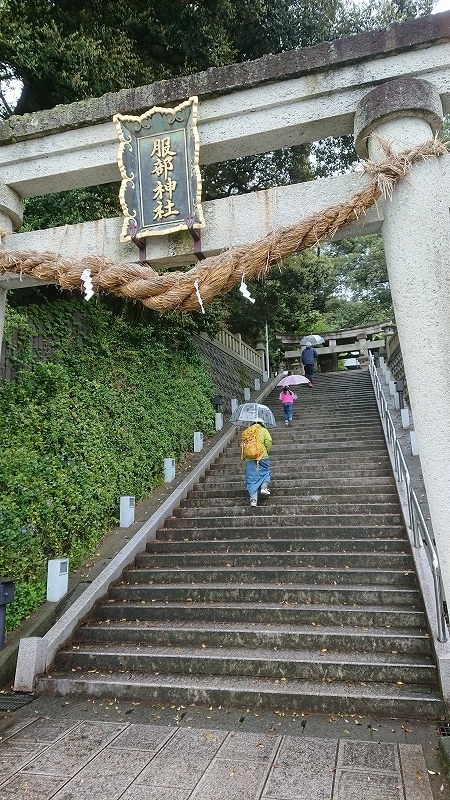 f:id:tano_oka2:20190602170804j:plain f:id:tano_oka2:20190602170804j:plain