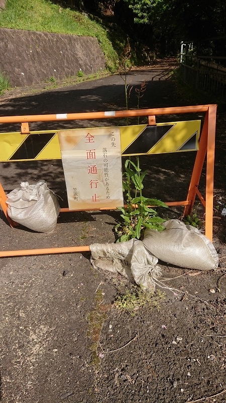 f:id:tano_oka2:20190614145400j:plain f:id:tano_oka2:20190614145400j:plain