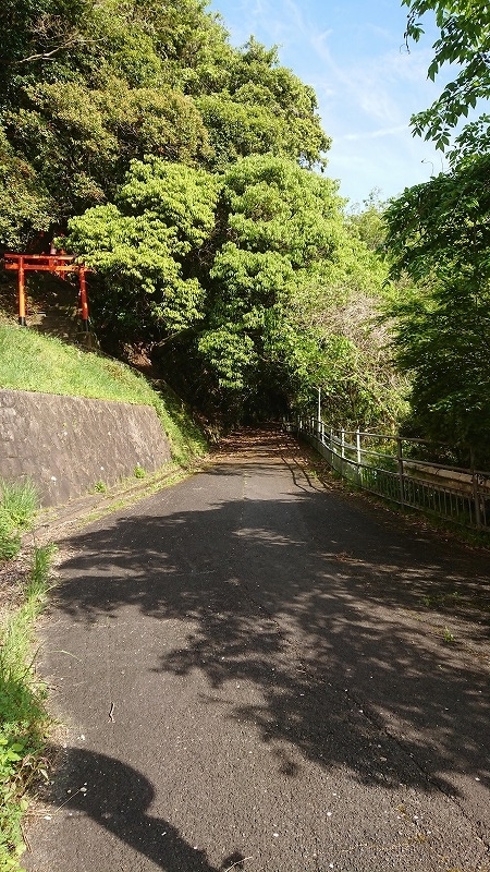 f:id:tano_oka2:20190614145414j:plain f:id:tano_oka2:20190614145414j:plain