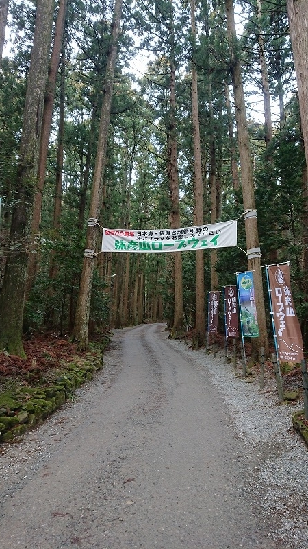 f:id:tano_oka2:20190622113219j:plain f:id:tano_oka2:20190622113219j:plain