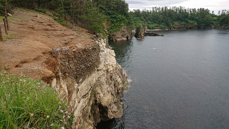 f:id:tano_oka2:20190705233746j:plain f:id:tano_oka2:20190705233746j:plain