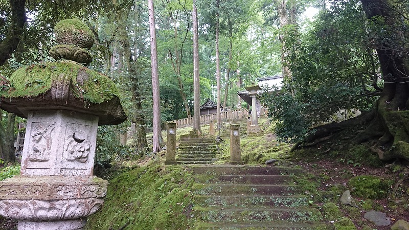 f:id:tano_oka2:20190717221552j:plain