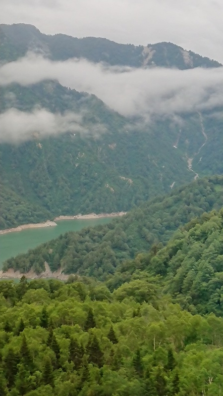 f:id:tano_oka2:20190723233446j:plain