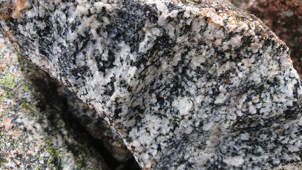 f:id:tano_oka2:20190729205604j:plain