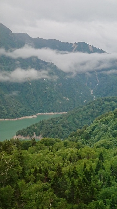 f:id:tano_oka2:20190730202818j:plain