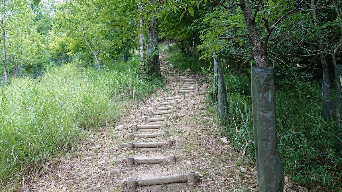 f:id:tano_oka2:20190815104155j:plain f:id:tano_oka2:20190815104155j:plain