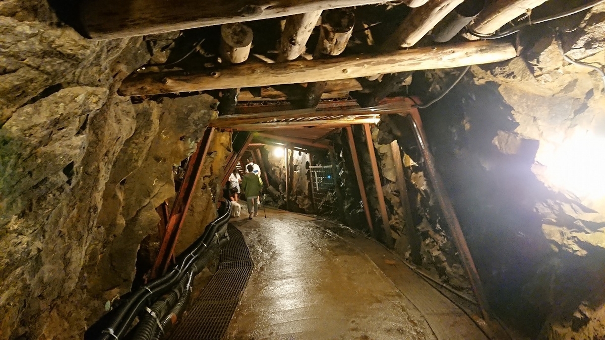 f:id:tano_oka2:20190825142838j:plain