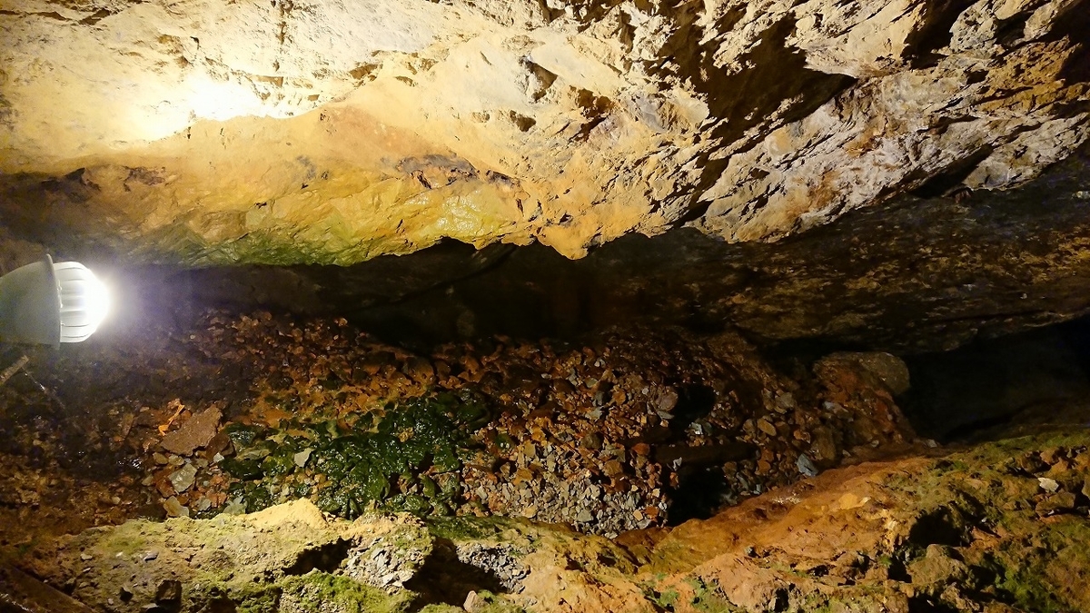 f:id:tano_oka2:20190825143150j:plain