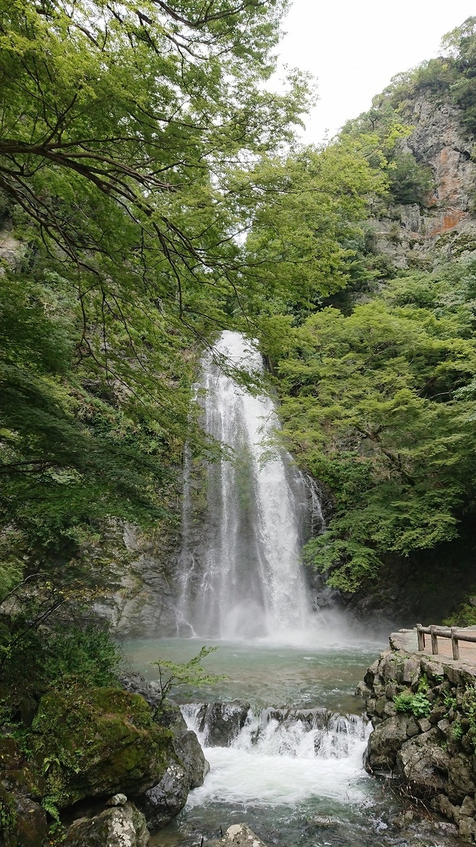 f:id:tano_oka2:20190908143634j:plain