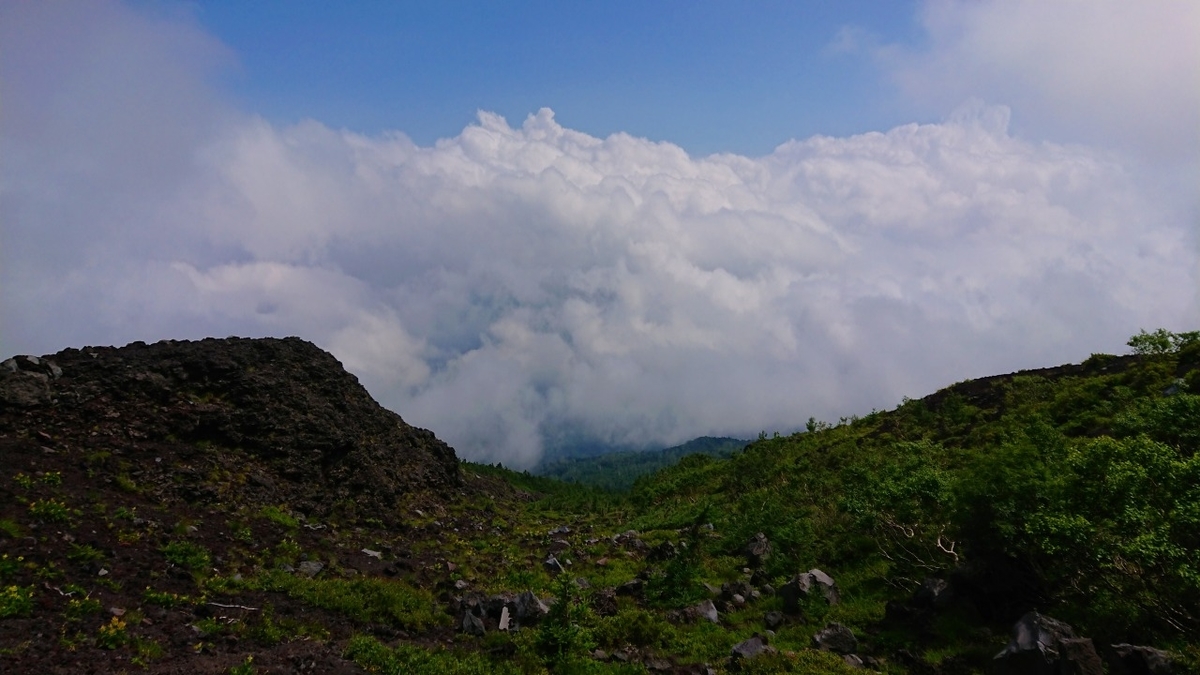 fujisan
