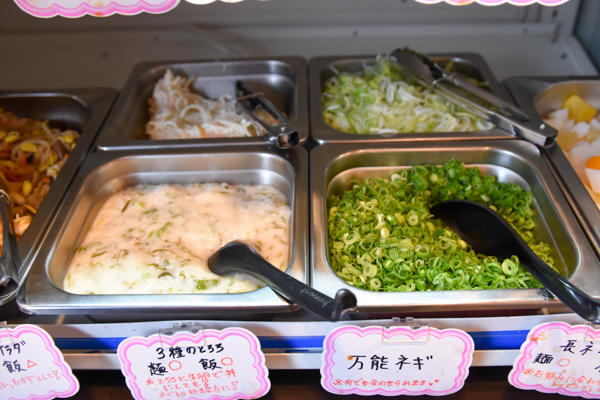 f:id:tanocchi:20170414221019j:plain