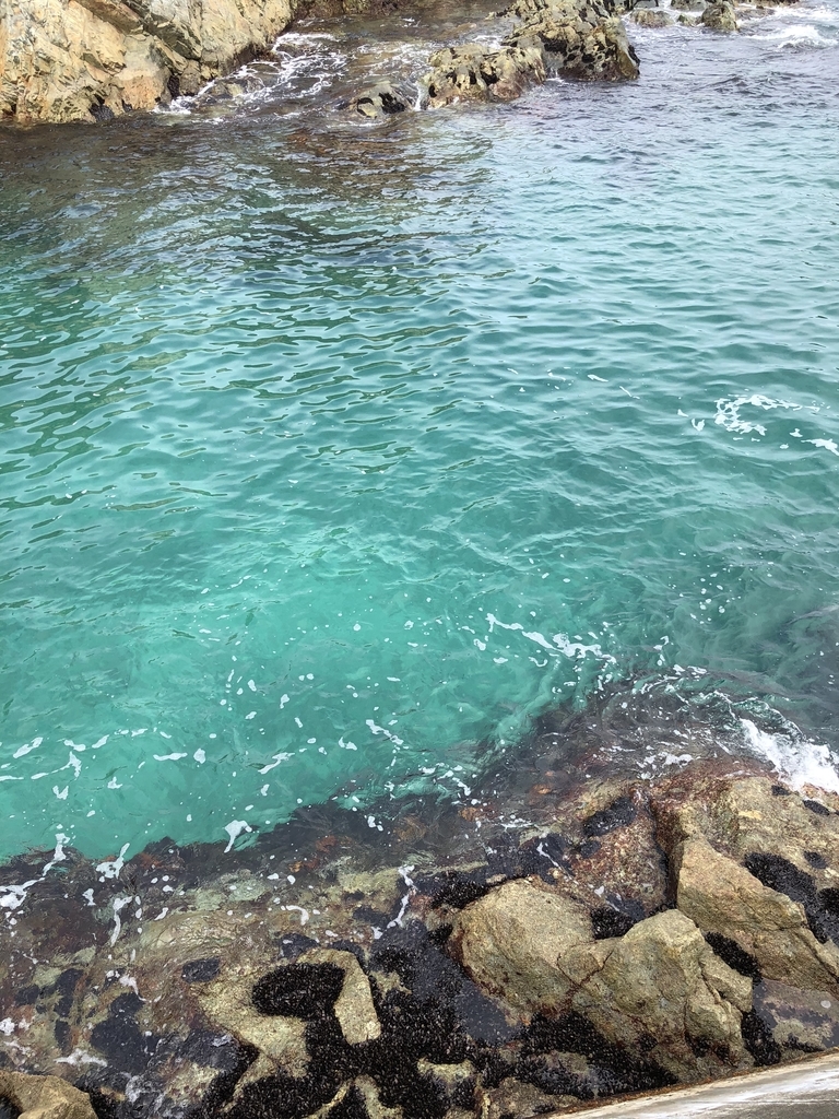 f:id:tanojin:20180902232714j:plain f:id:tanojin:20180902232714j:plain