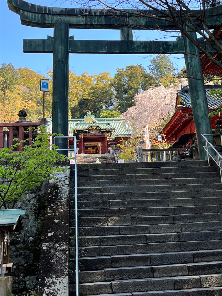 f:id:tanojin:20250103193856j:image f:id:tanojin:20250103193856j:image