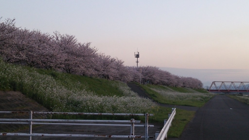 イメージ 5