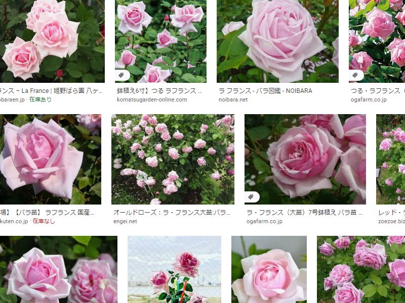 f:id:tanoroshi:20200519005034j:plain