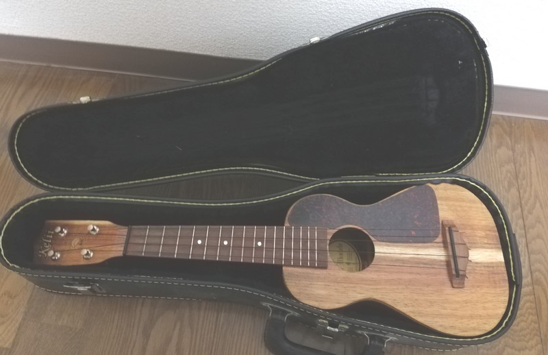 はじめましてマイレレ 自分のウクレレを紹介します - UKULELE ウクレレ？ ユークレレ？