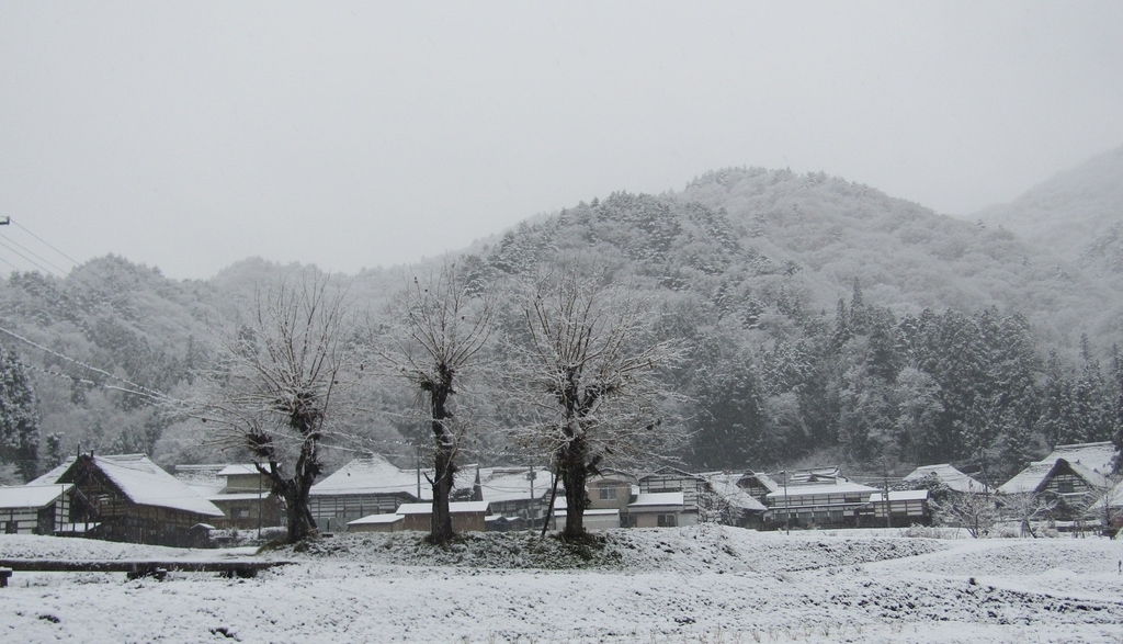 初雪が降りました - 南会津町たのせ集落