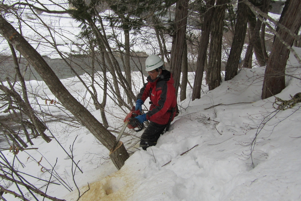 f:id:tanose:20190208133524j:plain