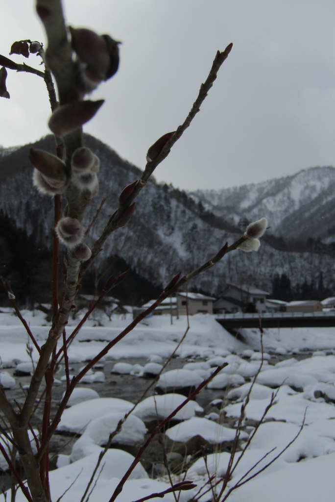 f:id:tanose:20190210134450j:plain