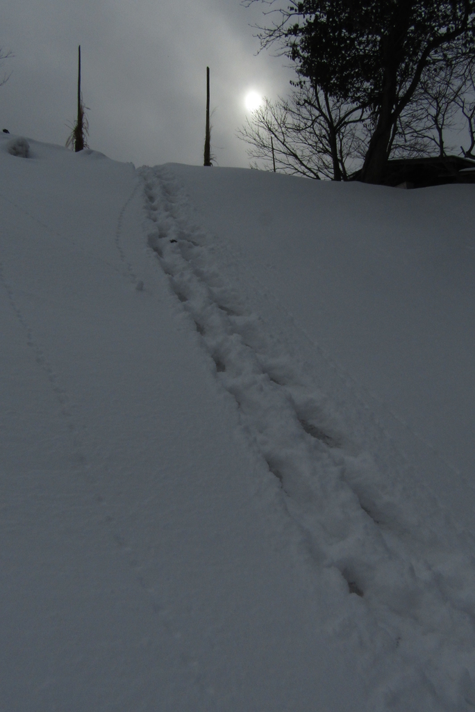 f:id:tanose:20190210140701j:plain